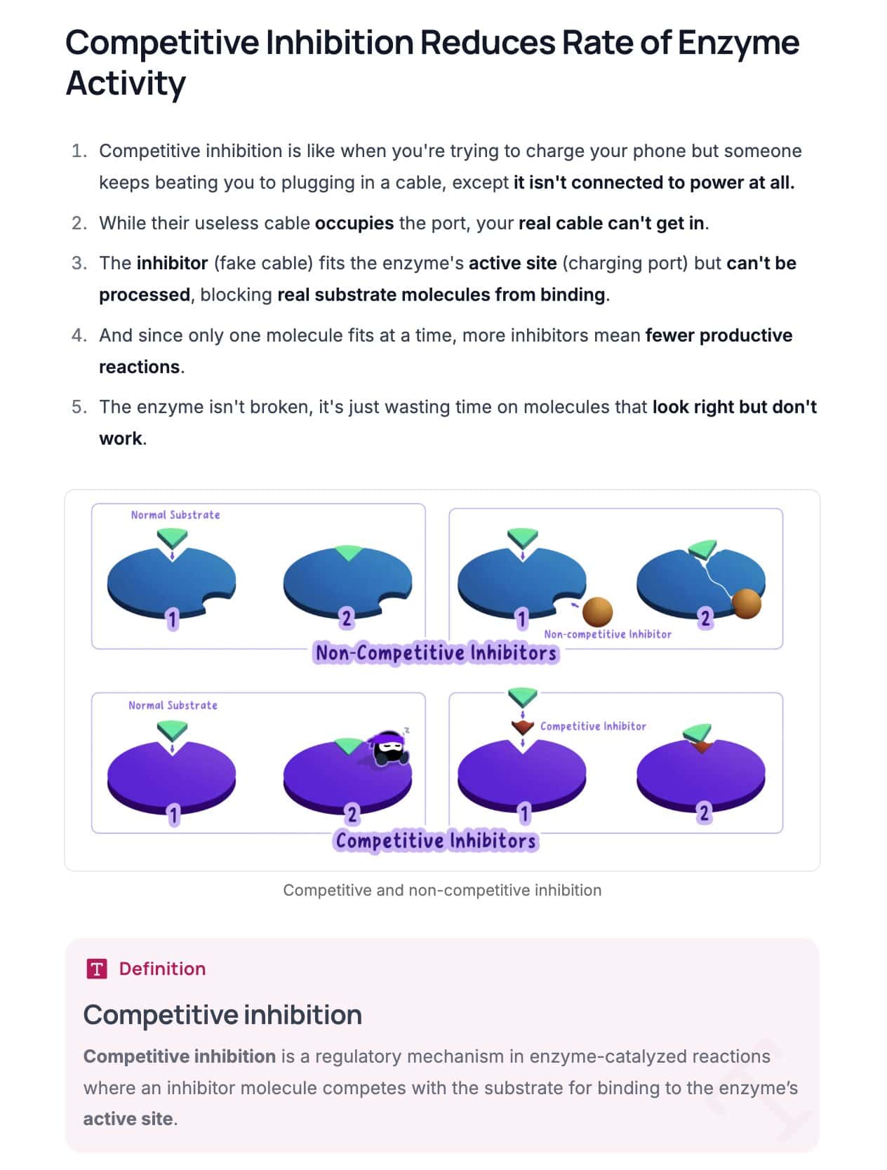 RevisionDojo IB Biology Textbook Example