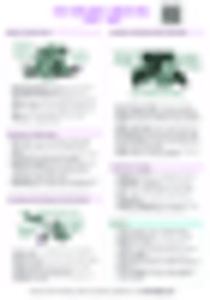 IB History: Cold War Crises - Berlin Wall (1958 - 1961) - PDF cheatsheet preview