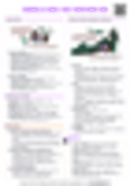 IB History: Guerrilla Wars - First Indochina War - PDF cheatsheet preview