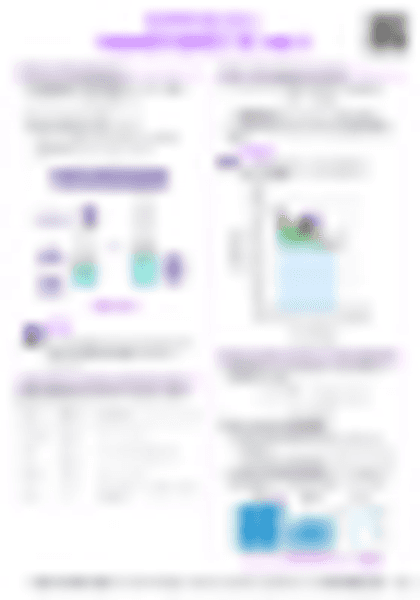 IB Physics B.4 Thermodynamics (HL only) - PDF cheatsheet preview