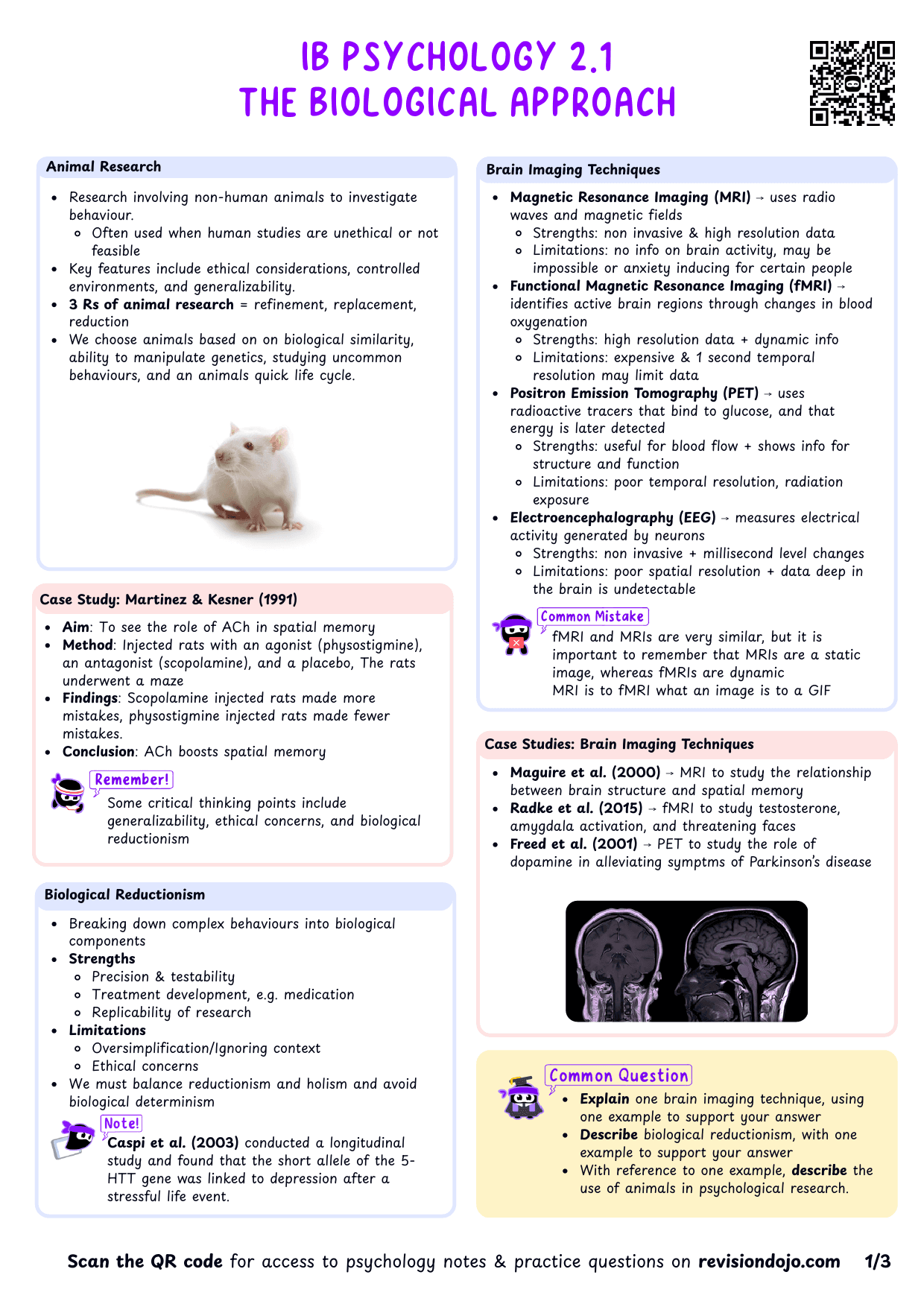 IB Psych 2.1 Biological Approach Cheatsheet - PDF cheatsheet preview