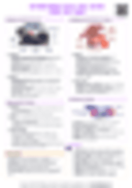 IB History Authoritarian States: Fidel Castro (Cuba, 1959–2008) - PDF cheatsheet preview