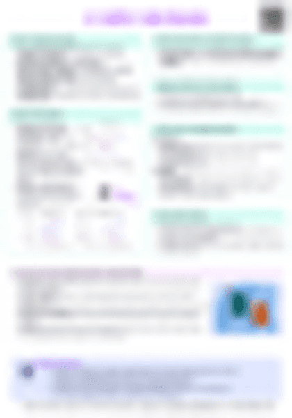 IB Econ 3.7 Supply side policies Cheatsheet - PDF cheatsheet preview