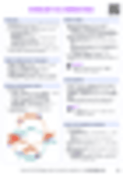 IB Bio D3.3 Homeostasis Cheatsheet - PDF cheatsheet preview