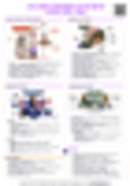 IB History Civil rights movement in the United States (1954–1965) - PDF cheatsheet preview