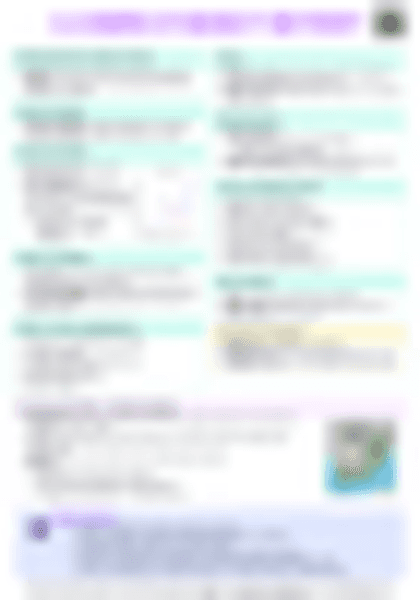 IB Econ 3.4 Economics of inequality and poverty Cheatsheet - PDF cheatsheet preview