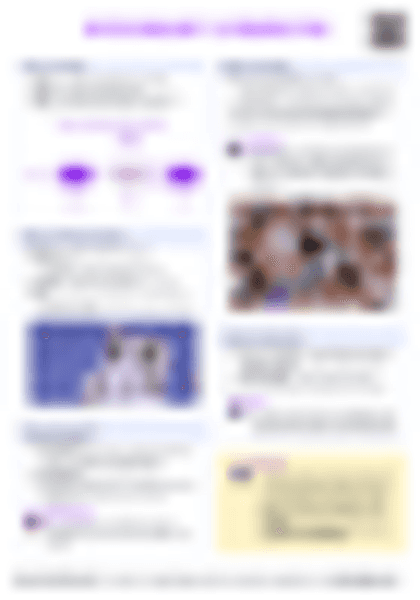 IB Psych 1.5 Perspective Cheatsheet - PDF cheatsheet preview