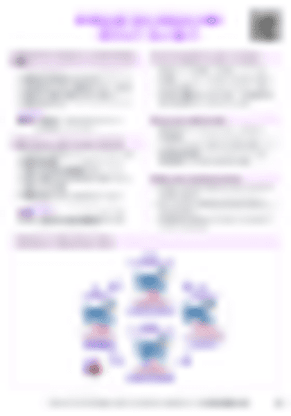 IB Bio B3.3 Muscle and motility Cheatsheet (HL) - PDF cheatsheet preview