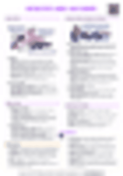 IB History: Interstate Wars - WW1 Europe - PDF cheatsheet preview