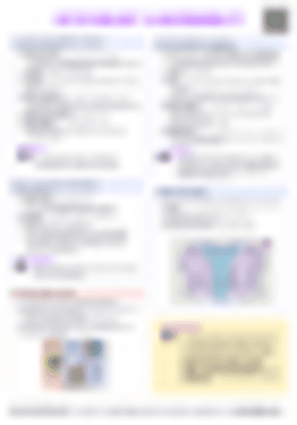 IB Psych 1.6 Responsibility Cheatsheet - PDF cheatsheet preview