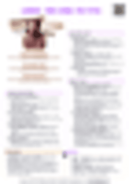 IB History: Leaders - Mao (China, 1949-1976) - PDF cheatsheet preview