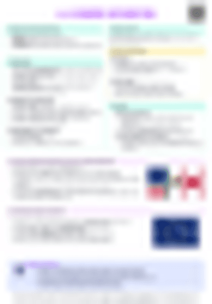 IB Econ 4.4 Economic Integration Cheatsheet - PDF cheatsheet preview