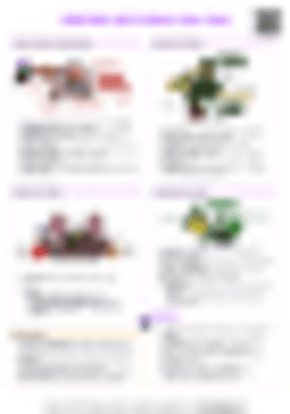 IB History Apartheid South Africa (1948–1964) - PDF cheatsheet preview