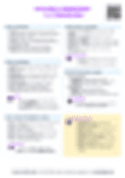 IB BM 1.4 Stakeholders Cheatsheet - PDF cheatsheet preview
