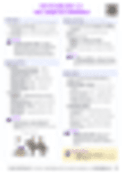 IB Psych 2.2 Cognitive Approach Cheatsheet - PDF cheatsheet preview