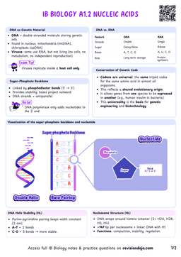 IB Bio A1.2 Nucleic acids