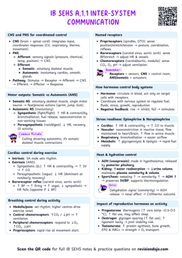 IB SEHS A.1.1 Inter-system communication Cheatsheet