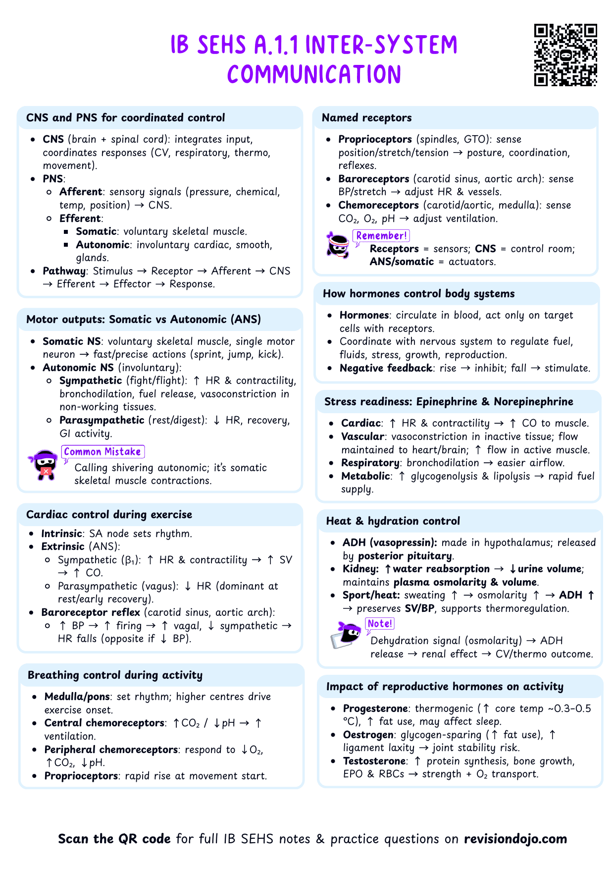 IB SEHS A.1.1 Inter-system communication Cheatsheet - PDF cheatsheet preview