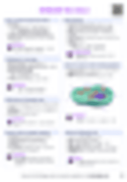 IB Bio A2.2 Cell structure Cheatsheet - PDF cheatsheet preview