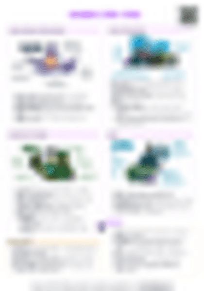 IB History Rwanda (1990–1998) - PDF cheatsheet preview