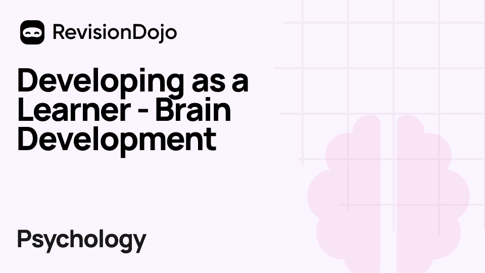 Developing as  a Learner - Brain Development video thumbnail