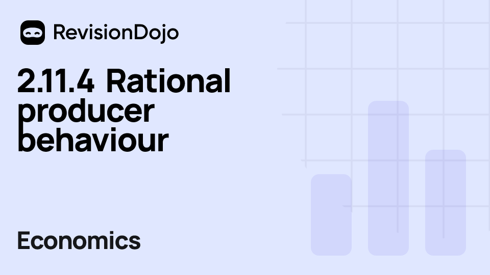 2.11.4 Rational producer behaviour video thumbnail