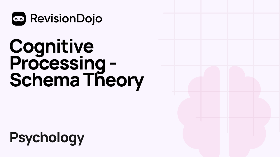 Cognitive Processing - Schema Theory video thumbnail