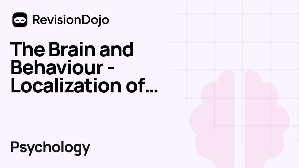 The Brain and Behaviour - Localization of Function video thumbnail