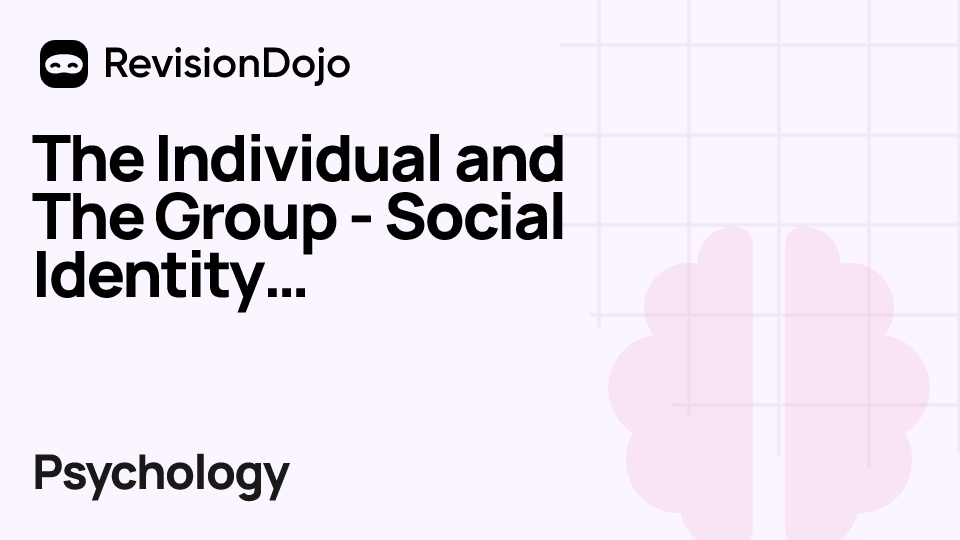 The Individual and The Group - Social Identity Theory video thumbnail