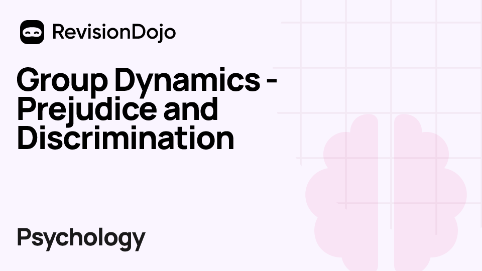 Group Dynamics - Prejudice and Discrimination video thumbnail