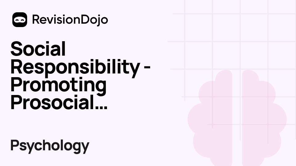 Social Responsibility - Promoting Prosocial Behaviour video thumbnail