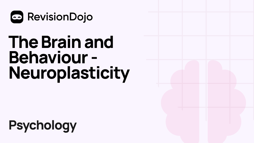 The Brain and Behaviour - Neuroplasticity video thumbnail