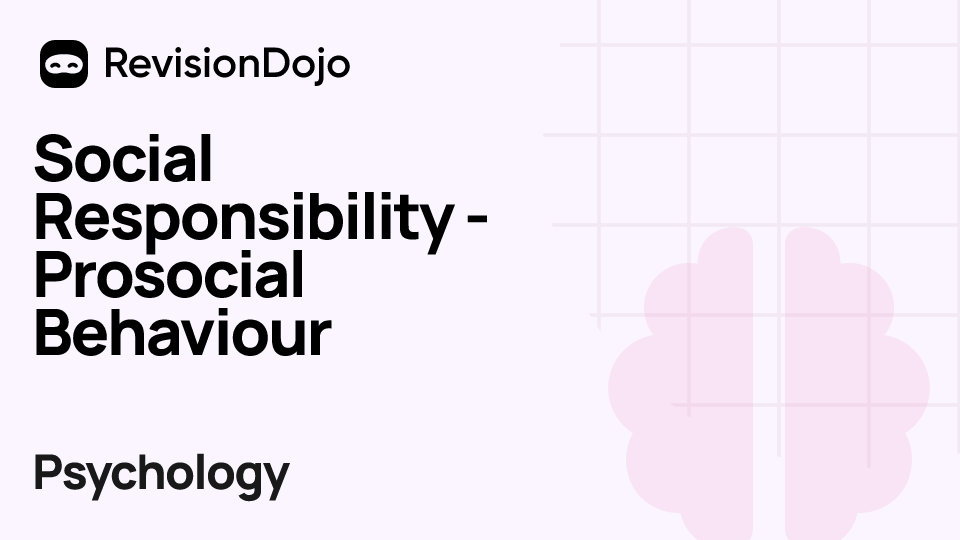 Social Responsibility - Prosocial Behaviour video thumbnail